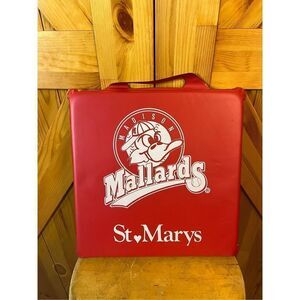 Madison Mallards seat cushion ￼